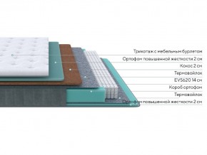 PROxSON Матрас Grace Firm (Трикотаж Prestige Latte) 120x210 в Сысерти - sysert.mebel24.online | фото 2