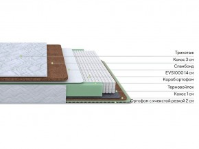 PROxSON Матрас Green Duo M/F (Tricotage Dream) 200x195 в Сысерти - sysert.mebel24.online | фото 2