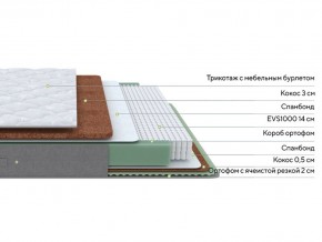 PROxSON Матрас Lux Duo M/F (Non-Stress) 120x200 в Сысерти - sysert.mebel24.online | фото 3