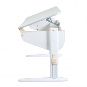 Растущая парта Дэми Parta 5/100 (Сут 46) в Сысерти - sysert.mebel24.online | фото 2