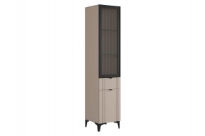 РИЧ Шкаф однодверный со стеклом в Сысерти - sysert.mebel24.online | фото