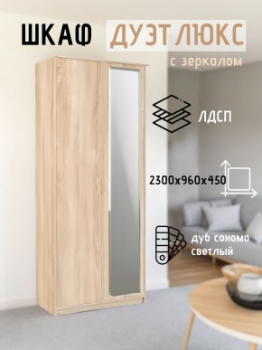 Шкаф 2-х створчатый Дуэт Люкс с зеркалом в Сысерти - sysert.mebel24.online | фото 7