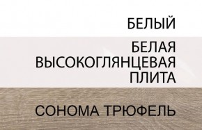 Шкаф 2D/TYP 20A, LINATE ,цвет белый/сонома трюфель в Сысерти - sysert.mebel24.online | фото 4