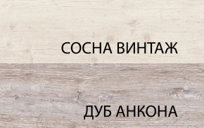 Шкаф 2DG2S, MONAKO, цвет Сосна винтаж/дуб анкона в Сысерти - sysert.mebel24.online | фото