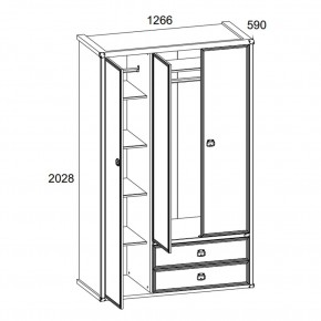 Шкаф 3DG2S, MAGELLAN, цвет Сосна винтаж в Сысерти - sysert.mebel24.online | фото 4