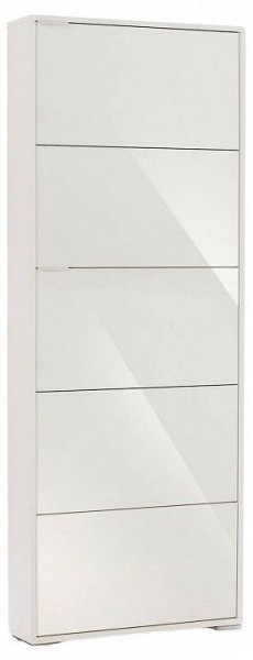 Шкаф для обуви Viva-5S в Сысерти - sysert.mebel24.online | фото