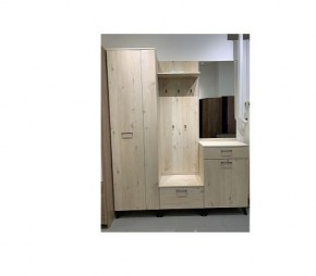 Шкаф для одежды 2-х дверный София 1 в Сысерти - sysert.mebel24.online | фото 6