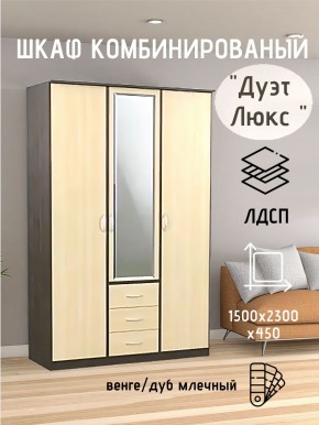 Шкаф комбинированный Дуэт Люкс с зеркалом в Сысерти - sysert.mebel24.online | фото 3
