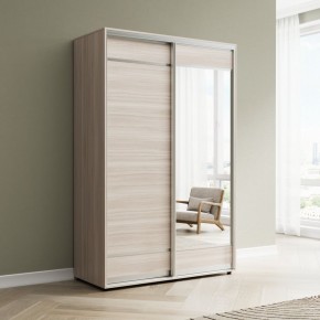 Шкаф-купе Акцент-Лайт ДЗ 1200-600 в Сысерти - sysert.mebel24.online | фото 6
