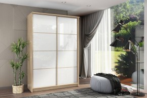 Шкаф-купе Байкал-2 СТЛ.268.11 в Сысерти - sysert.mebel24.online | фото