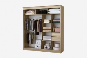 Шкаф-купе Фаворит 2.0 серия Альянс (дуб сонома) в Сысерти - sysert.mebel24.online | фото 2