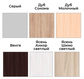 Шкаф-купе ХИТ 22-4-14-11 (420) в Сысерти - sysert.mebel24.online | фото 5