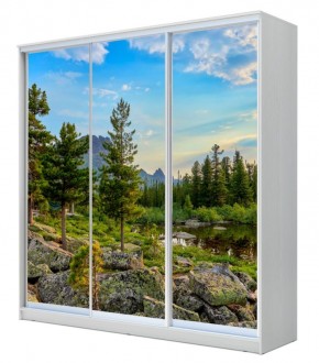 Шкаф-купе ХИТ 22-4-18-777 ПРИРОДА в Сысерти - sysert.mebel24.online | фото