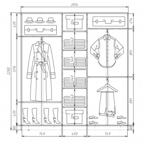 Шкаф-купе ХИТ 22-4-20-151 (420) в Сысерти - sysert.mebel24.online | фото 2