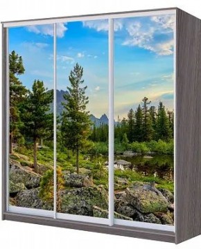 Шкаф-купе ХИТ 22-4-20/2-777 ПРИРОДА в Сысерти - sysert.mebel24.online | фото