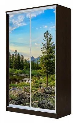 Шкаф-купе ХИТ 23-14-77 ПРИРОДА в Сысерти - sysert.mebel24.online | фото