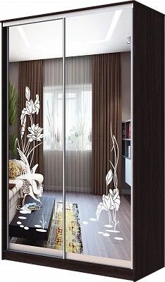 Шкаф-купе ХИТ 23-4-12/2-66 ЦАПЛИ в Сысерти - sysert.mebel24.online | фото