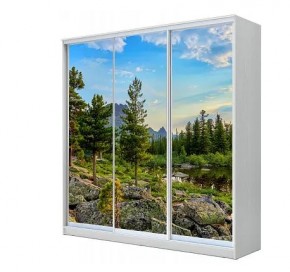 Шкаф-купе ХИТ 23-4-20-777 (420) в Сысерти - sysert.mebel24.online | фото