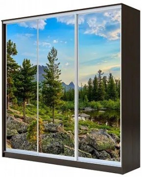 Шкаф-купе ХИТ 23-4-20-777 ПРИРОДА в Сысерти - sysert.mebel24.online | фото