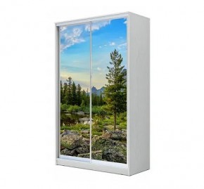 Шкаф-купе ХИТ 24-12/2-77 (620) в Сысерти - sysert.mebel24.online | фото