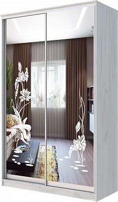 Шкаф-купе ХИТ 24-14-66 ЦАПЛИ в Сысерти - sysert.mebel24.online | фото