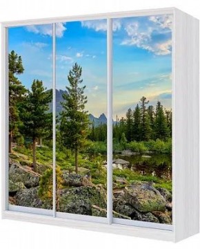 Шкаф-купе ХИТ 24-18/2-777 ПРИРОДА в Сысерти - sysert.mebel24.online | фото