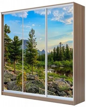 Шкаф-купе ХИТ 24-20/2-777 ПРИРОДА в Сысерти - sysert.mebel24.online | фото