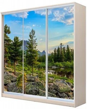 Шкаф-купе ХИТ 24-4-20-777 ПРИРОДА в Сысерти - sysert.mebel24.online | фото