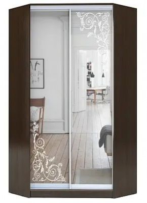 Шкаф-купе ХИТ-У-23-4-66 ОРНАМЕНТ в Сысерти - sysert.mebel24.online | фото