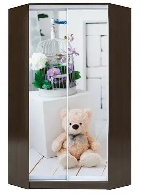 Шкаф-купе ХИТ-У-R-23-64-77 МИШКА В ИНТЕРЬЕРЕ в Сысерти - sysert.mebel24.online | фото