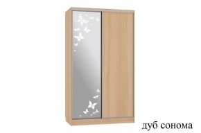 Шкаф-купе Рио 1-600 бабочки в Сысерти - sysert.mebel24.online | фото 5