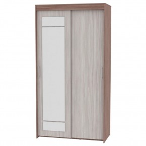 Шкаф-купе с зеркалом T-1-230х120х45-M (1-1) в Сысерти - sysert.mebel24.online | фото