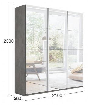 Шкаф-купе Траст СШК 2.210.70-13.13.13 в Сысерти - sysert.mebel24.online | фото 3