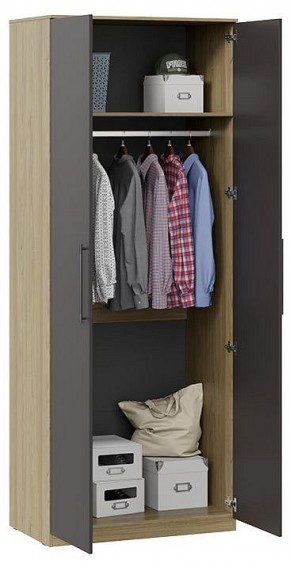 Шкаф платяной Агата в Сысерти - sysert.mebel24.online | фото 3