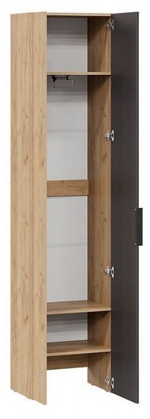 Шкаф платяной Асти в Сысерти - sysert.mebel24.online | фото 2