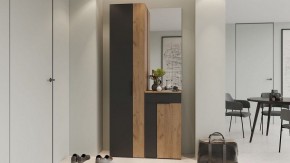 Шкаф платяной Асти в Сысерти - sysert.mebel24.online | фото 5