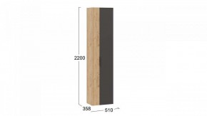 Шкаф платяной Асти в Сысерти - sysert.mebel24.online | фото 6