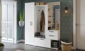 Шкаф платяной Эрика в Сысерти - sysert.mebel24.online | фото 3