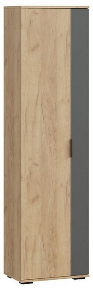 Шкаф платяной Эвита в Сысерти - sysert.mebel24.online | фото