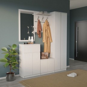 Шкаф платяной ШО-4 в Сысерти - sysert.mebel24.online | фото 6