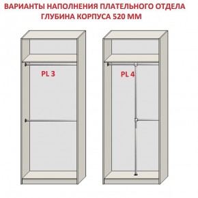 Шкаф распашной серия «ЗЕВС» (PL3/С1/PL2) в Сысерти - sysert.mebel24.online | фото 10