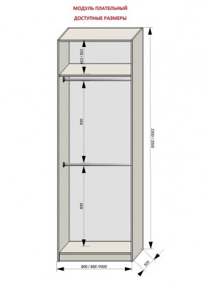 Шкаф распашной серия «ЗЕВС» (PL3/С1/PL2) в Сысерти - sysert.mebel24.online | фото 12