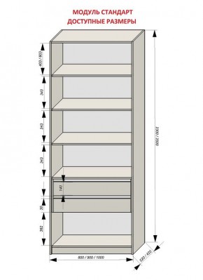 Шкаф распашной серия «ЗЕВС» (PL3/С1/PL2) в Сысерти - sysert.mebel24.online | фото 13