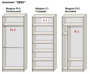 Шкаф распашной серия «ЗЕВС» (PL3/С1/PL2) в Сысерти - sysert.mebel24.online | фото 2