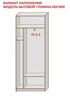 Шкаф распашной серия «ЗЕВС» (PL3/С1/PL2) в Сысерти - sysert.mebel24.online | фото 4