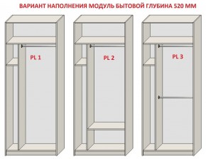 Шкаф распашной серия «ЗЕВС» (PL3/С1/PL2) в Сысерти - sysert.mebel24.online | фото 5