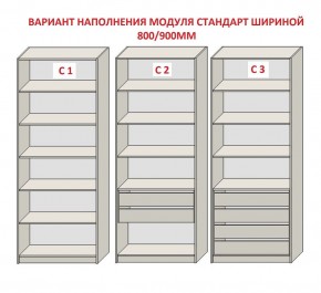 Шкаф распашной серия «ЗЕВС» (PL3/С1/PL2) в Сысерти - sysert.mebel24.online | фото 6