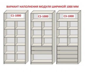 Шкаф распашной серия «ЗЕВС» (PL3/С1/PL2) в Сысерти - sysert.mebel24.online | фото 7