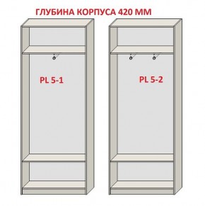 Шкаф распашной серия «ЗЕВС» (PL3/С1/PL2) в Сысерти - sysert.mebel24.online | фото 8