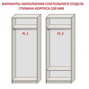 Шкаф распашной серия «ЗЕВС» (PL3/С1/PL2) в Сысерти - sysert.mebel24.online | фото 9